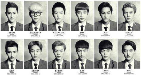 Exo ideal type, exo facts exo (엑소) currently consists of 9 members: Exo Members Ages Oldest To Youngest