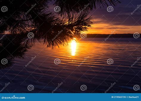 A Beautiful Sunset Scenery At The Lake With Tree Branch Silhouette