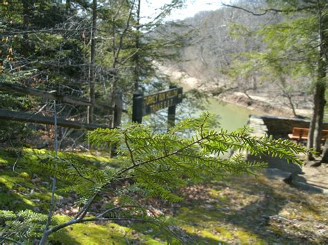 Turkey run state park in marshall is rated 8.3 of 10 at campground reviews. Lafayette Reporter: Hemlock at Turkey Run State Park