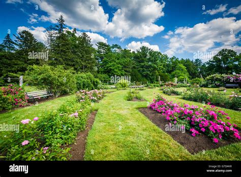 Elizabeth Park Rose Garden Hi Res Stock Photography And Images Alamy