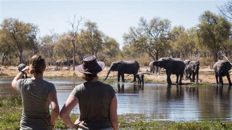Safari Botswana Sexari Safari Und Sexologie