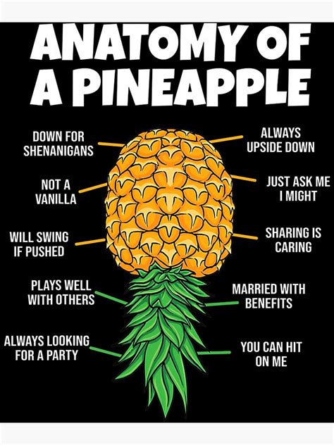 anatomy of a pineapple swinger funny upside down pineapple poster for sale by anystep5191