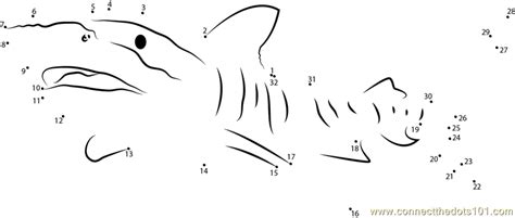 We would like to show you a description here but the site won't allow us. Tiger Shark Great Barrier dot to dot printable worksheet ...