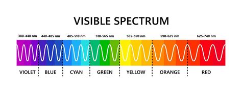Espectro De Luz Visible Longitud De Onda De La Luz óptica Espectro De