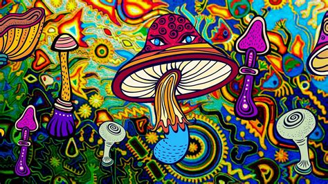 The Psychedelics Evangelist Health Lable