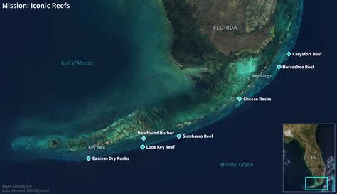 With Mission Iconic Reefs Noaa Aims To Restore Florida Keys With