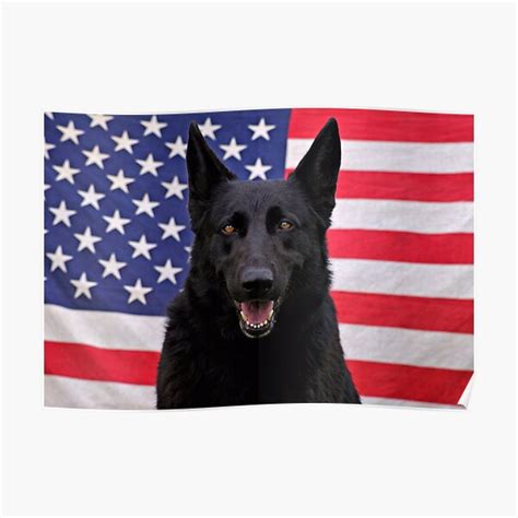 Black German Shepherd Usa Poster For Sale By Sandyk Redbubble