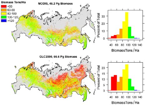A Map Of Russian Forest Biomass As Predicted By The Modis Land Cover