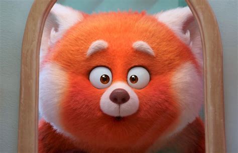 Panda Monium Breaks Out In Pixars ‘turning Red The Echo