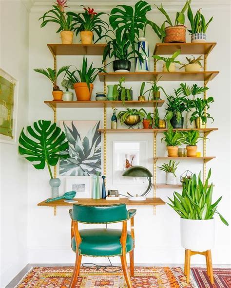 25 Creative Ways To Arrange Your Indoor Plant Shelf Bohemian Interior