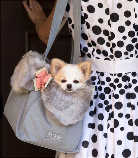 Elegant pet carriers is the name of the bogus company being used to transport the pets… hope this helped!! Luxury Dog Carrier Platinum w Faux Fox Fur and Contrasting ...