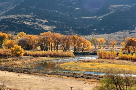 8 Country Roads In Nevada That Are Pure Bliss In The Fall