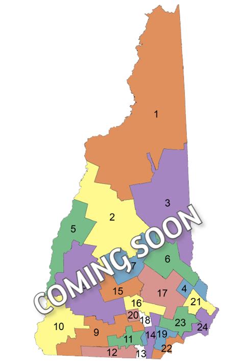 The New Hampshire State Senate