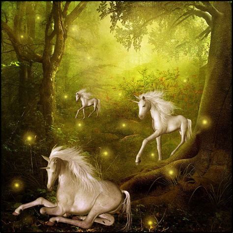 Unicorns Unicorn And Fairies Magic Forest Unicorn Fantasy