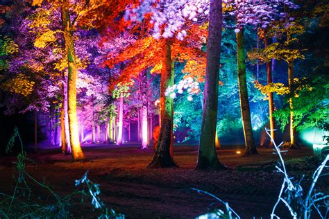 Five police officers were injured, two seriously, and a partygoer lost his hand when security forces tried to break up an illegal rave of some 1,500 people in western france, local officials said on saturday. An Enchanted Forest - Oasis Events