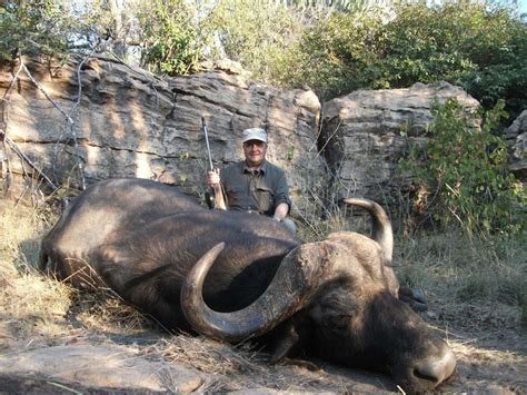 South Africa Cape Buffalo Hunts Outdoors International