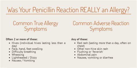 Penicillin Allergy Infogram