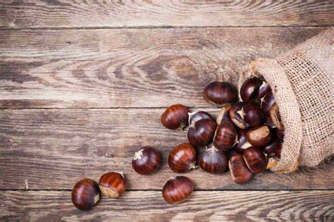 conservare le castagne per 12 mesi consigli tecniche