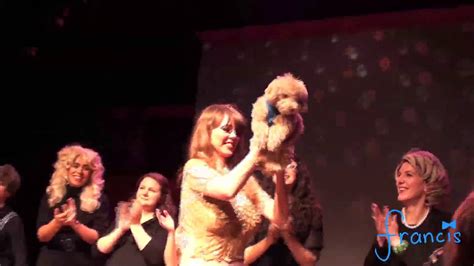 Francis The Poodles Stage Debut In Unauthorized The Musical Steel