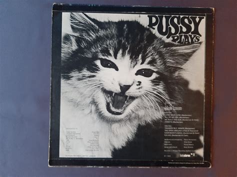 Pussy Pussy Plays Rareprogpsych