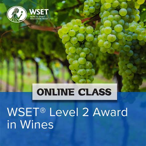 Online Wset Level 2 Award In Wine — The Wine And Spirit Archive