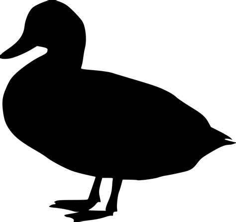 22 Free Duck Svg Files Images