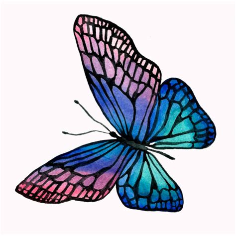 276 Butterfly Watercolor Svg SVG PNG EPS DXF File