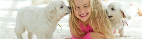 Locally owned fish creek 24 hour pet hospital opened its doors for the first time in december of 2005. Surgery in Calgary, AB | Calgary North Animal Hospital ...