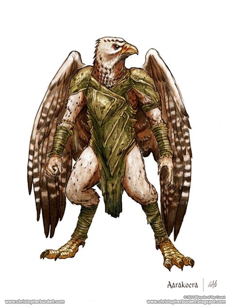Aarakocra 5th Edition Dungeons And Dragons By Christopherburdett On