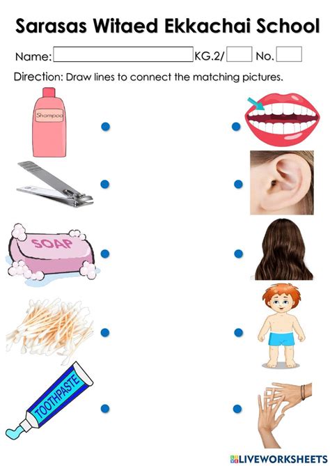 Items used for cleaning the body worksheet