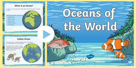 What is an Ocean? | Twinkl Teaching Wiki