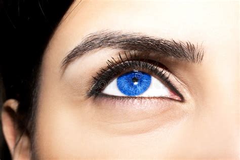 Beautiful Insightful Look Blue Woman S Eyes Stock Photo Image Of