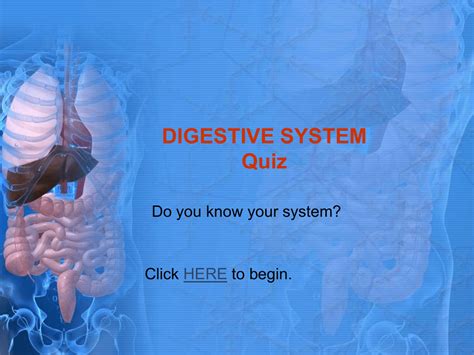 Digestive System Quiz The Digestive System