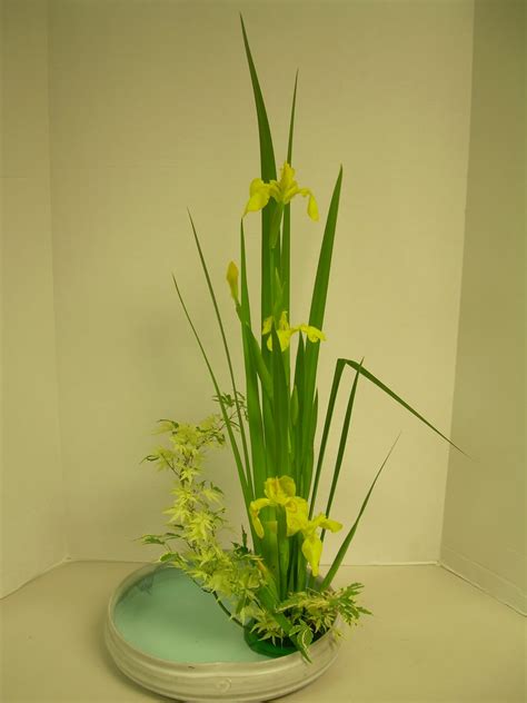 Orchids and Ikebana: Iris Arrangement