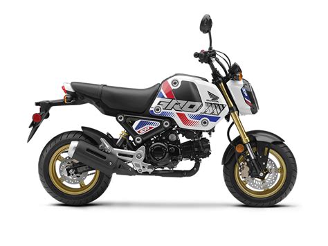 The honda grom is perfect for new riders looking for a great learning tool, or the experienced pilot looking grom: 2022 Honda GROM Motorcycles - Motos Illimitées