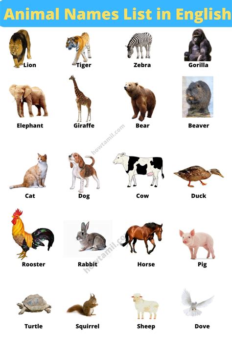 Domestic Animals Pictures With Names