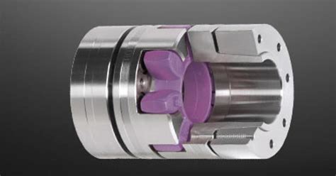 Ktr Systems Rotex Torsionally Flexible Coupling With Integrated