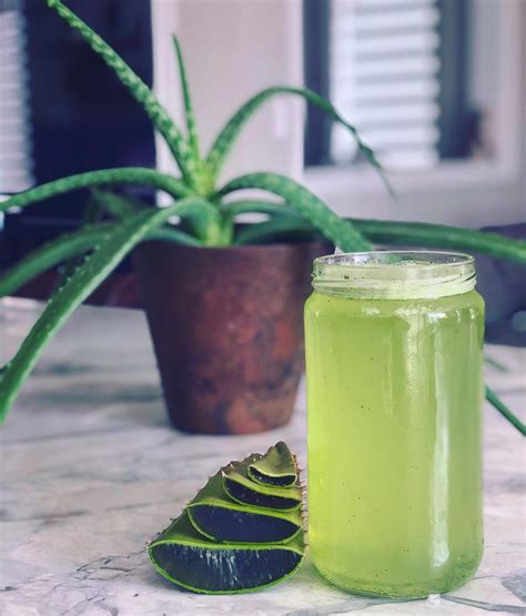 A premium ingredient in personal care products, this amazing natural product is known to treat sunburn as well as improve skin condition. Healthy Living: Health benefits of aloe Vera juice ...