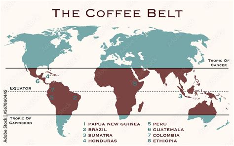 The Area Of The World Known As Coffee Belt Which Includes The Major