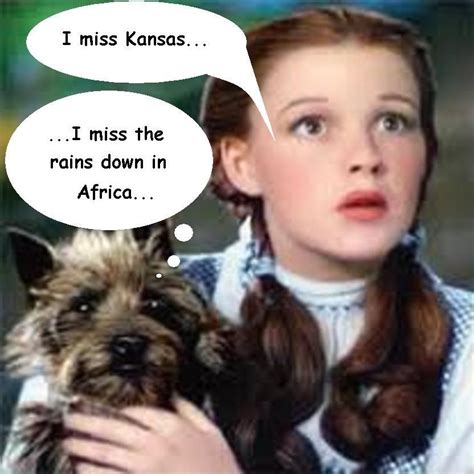 Dorothy I Miss Kansas Toto I Miss The Rains Down In Africa Miss Kansas Bones Funny