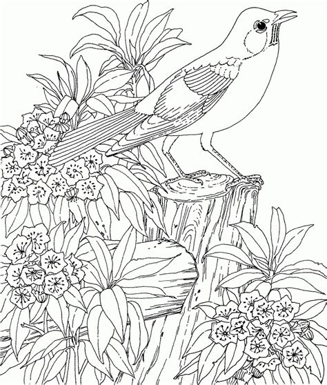 Coloring Pages For Adults Nature Coloring Home