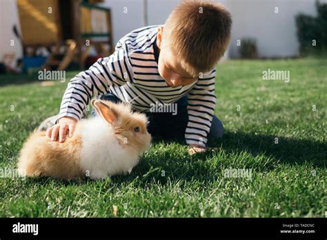 Boy Bunny Hi Res Stock Photography And Images Alamy