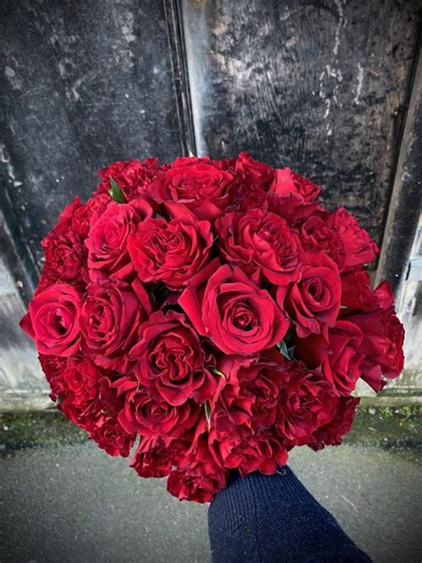 50 Premium Red Rose Bouquet Castlemaine Floristry