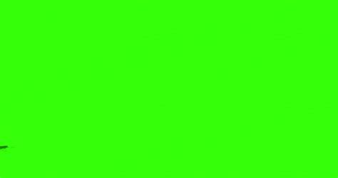 4k Green Screen Ready To Stock Footage Video 100 Royalty Free