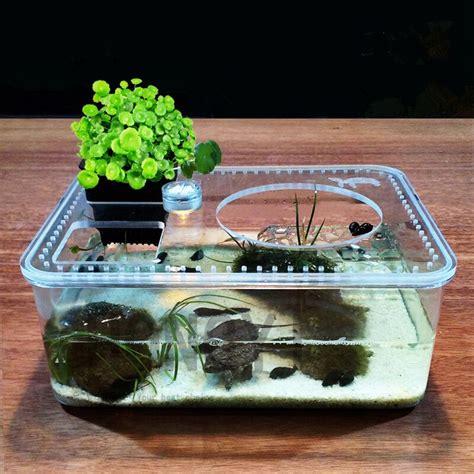 Hongyi Piece Plastic Transparent Insect Reptile Breeding Feeding Box Large Capacity Aquarium
