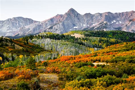 2020 Guide To Fall Foliage In Colorado Cu Denver News