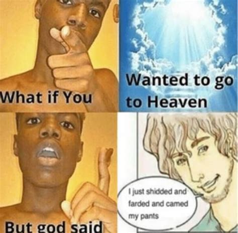 what if you wanted to go to heaven shidding and farding funny memes inspirational humor memes
