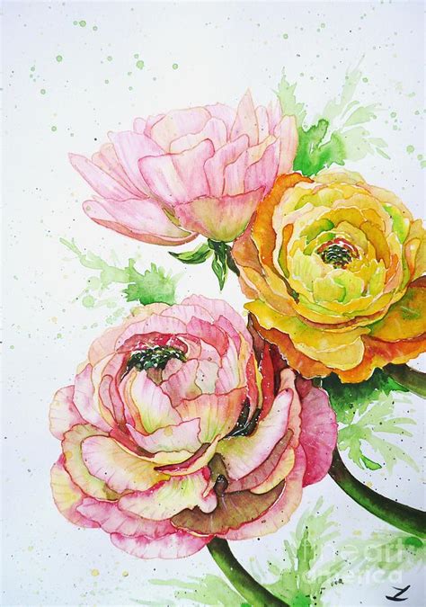 Ranunculus Flowers Painting By Zaira Dzhaubaeva