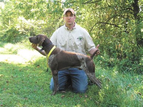 North American Versatile Hunting Dog Association Provides Invaluable