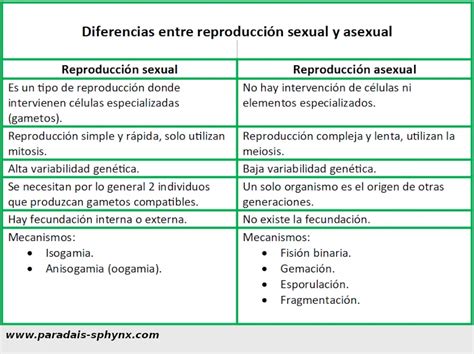 descubriendo las distinciones entre reproducción sexual y asexual un cuadro comparativo ser